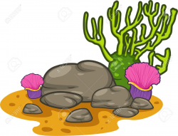 Coral Clipart | Free download best Coral Clipart on ...
