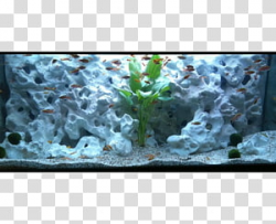 Aquarium lighting Hamster Pet Fish, Tank up transparent ...