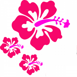 Coral Hibiscus Clip Art at Clker.com - vector clip art online ...