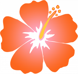 28+ Collection of Orange Hibiscus Clipart | High quality, free ...