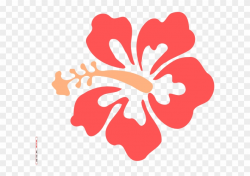 Coral Clipart Hibiscus - Coral Hibiscus Clip Art, HD Png ...