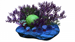 Coral reef Clip art - coral 1600*900 transprent Png Free Download ...