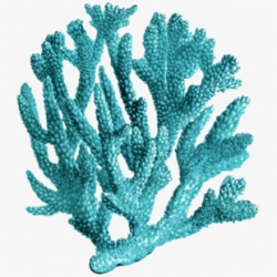Free Coral Clipart Cliparts, Silhouettes, Cartoons Free ...