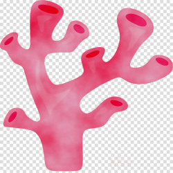 Coral Reef Background clipart - Illustration, Pink, Finger ...