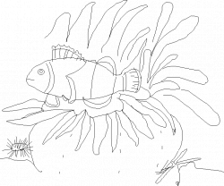 Sea Anemone Drawing at GetDrawings.com | Free for personal use Sea ...