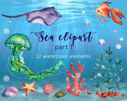 Sea Watercolor Clip Art, Nautical Clipart, Ocean, Stingray, Fish,  Jellyfish, Seaweed, Coral, Seastar, Shell, Stone, Bubble, Underwater, PNG