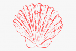 Coral - Seashell Clipart Blue #55794 - Free Cliparts on ...