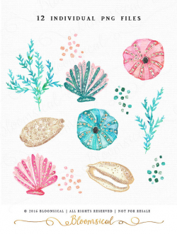 Glitter Seashells Clip Art | Glam sea shells coral marine ...