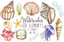 Watercolor Sea Shells clipart Watercolor Ocean Clipart Sea Shell Starfish  Coral Clipart Watercolour illustration art PNG instant download