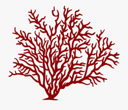 Coral Clipart Soft Coral - Sea Fan Coral Png #57195 - Free ...