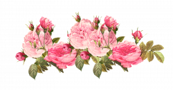 vintage-pink-roses-tumblr-658091.png (1600×839) | Wallpapers <3 ...