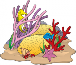 Sea Coral Clipart | Free download best Sea Coral Clipart on ...