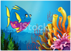 Underwater View With A Big Fish and Beautiful Coral Reefs ...
