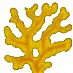 Coral clipart png - Clip Art Library