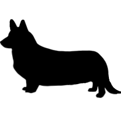 Dog Silhouette clipart - Dog, Black, Silhouette, transparent ...