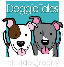 Corgi Clipart Smart Dog - Dog Licks , Transparent Cartoon ...