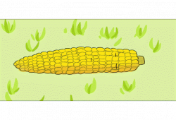 Confused corn by nitelini on DeviantArt