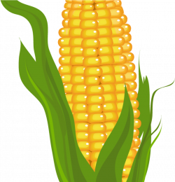 Corn Clipart Clip Art Stock - Corn Clipart Free - Png ...