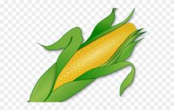Corn Clipart Bit - Png Download (#2339438) - PinClipart