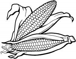 Free Black And White Corn, Download Free Clip Art, Free Clip ...