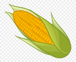 Corn Png Clipart - Sweet Corn Clip Art, Transparent Png ...