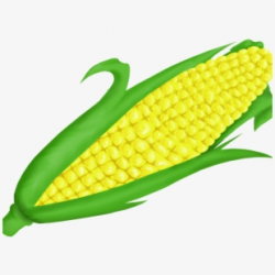 Korn Clipart Sweet Corn - Corn On The Cob Clipart #486373 ...