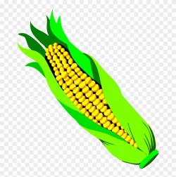 Ear Of Corn Clipart - Ear Of Corn Png, Transparent Png ...