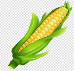 Corn on the cob Candy corn Maize , corn transparent ...