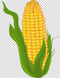 Corn On The Cob Free Content Maize PNG, Clipart, Blog, Clip ...