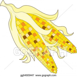 Drawing - Indian corn. Clipart Drawing gg54503447 - GoGraph
