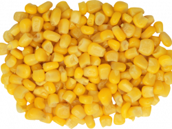 Corn Clipart Cooked Corn - Corn Top Png , Transparent ...