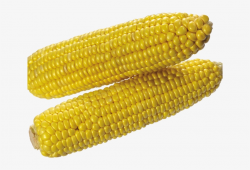 Corn Clipart Cooked Corn - Corn Transparent Background PNG ...