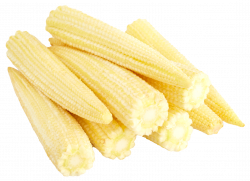 Baby Corn Cobs PNG Image - PurePNG | Free transparent CC0 PNG Image ...