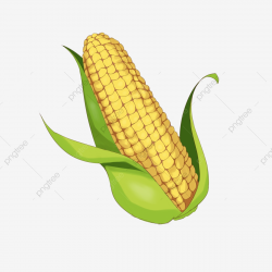 Hand Drawn Corn Spike Corn Sweet Corn Crop Corn, Cartoon Ear ...