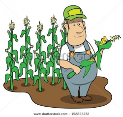 farmer in corn field - stock | Clipart Panda - Free Clipart ...