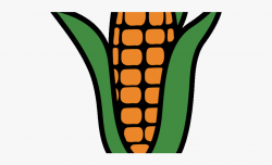 Corn Clipart Indian Corn - Maize Clipart #71424 - Free ...