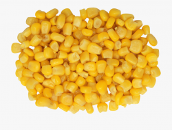 Corn Kernel Png - Corn Png #1046887 - Free Cliparts on ...