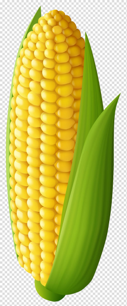 Sweetcorn with leaves, Corn on the cob Maize , Corn ...