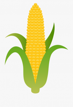 Corn Clip Art Free Clipart Images - Corn Clipart Png #367401 ...