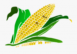 Corn Cob Png - Corn Maze Clip Art #69679 - Free Cliparts on ...