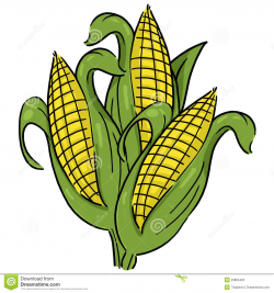 66+ Corn Stalks Clipart | ClipartLook
