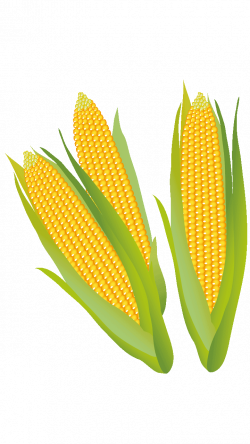 15 Surprising Corn Clipart For Free - Fruit Names A-Z With Pictures