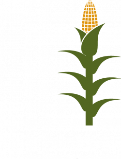 Corn Stalk Clipart - Full Size Clipart (#744584) - PinClipart