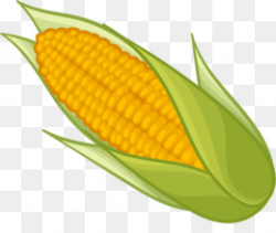 Download easy to draw corn clipart Corn on the cob Candy ...