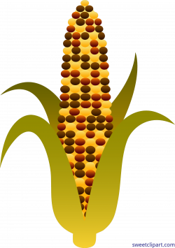 Harvest Indian Corn Clip Art - Sweet Clip Art