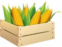 кукуруза (5) [преобразованный].png | Pinterest | Clip art, Food ...