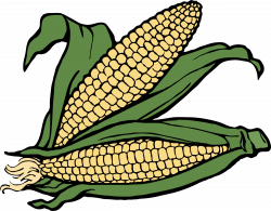 Clipart - corn