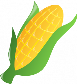 Yellow Corn Clip Art at Clker.com - vector clip art online, royalty ...