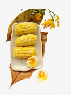 Fresh Corn, Corn Clipart, Food, Vegetables PNG Image and ...