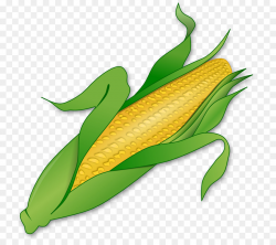 Cornfield Clipart corn harvest 9 - 900 X 800 Free Clip Art ...